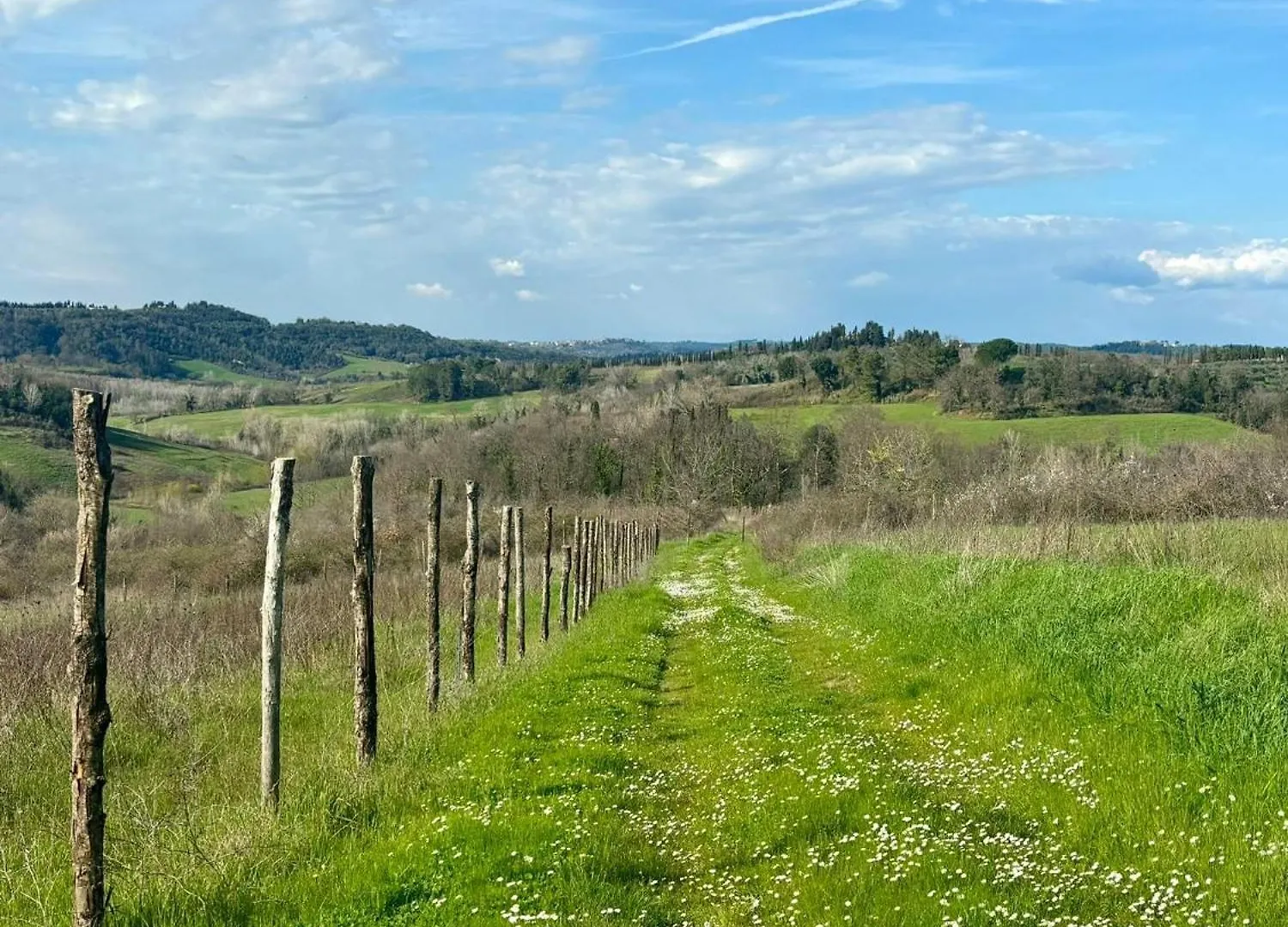 Holiday home Podere Il Casino, Colline Di Peccioli Monte Lopio Italy