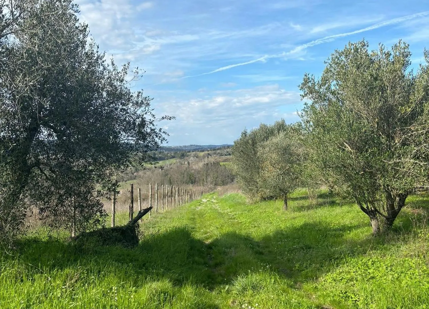 Podere Il Casino, Colline Di Peccioli Monte Lopio Holiday home
