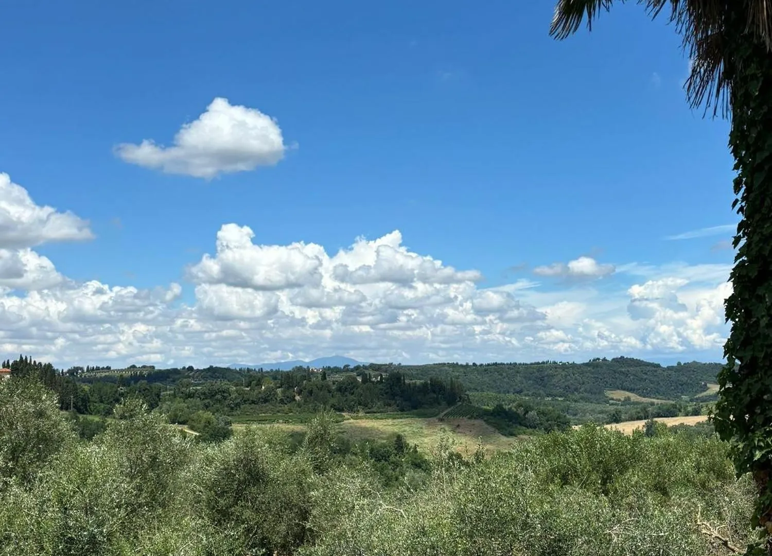 Podere Il Casino, Colline Di Peccioli Monte Lopio Italy